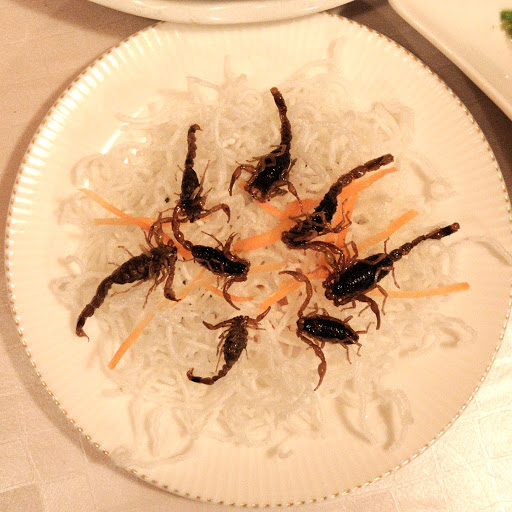 �T�\���̂���g���A�ƂĂ����킢���ł�